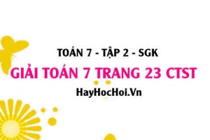 Giải Toán 7 trang 23 tập 2 Chân trời sáng tạo SGK